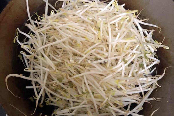 青椒豆芽菜的做法图解2