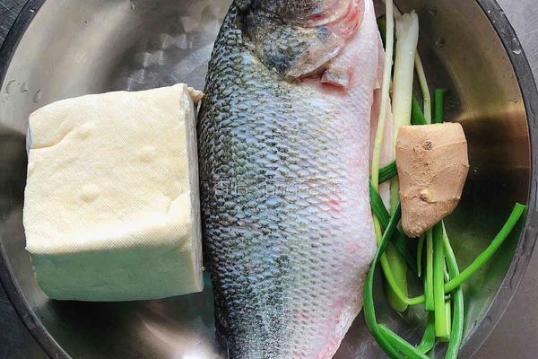 清蒸豆腐鲈鱼的做法图解1