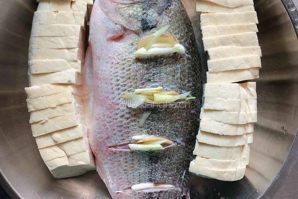 清蒸豆腐鲈鱼的做法图解4