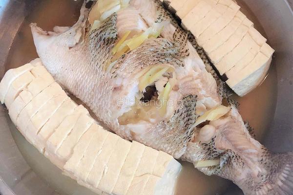 清蒸豆腐鲈鱼的做法图解6