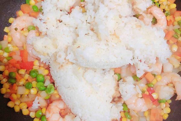 快手茄汁虾仁焗饭的做法图解11