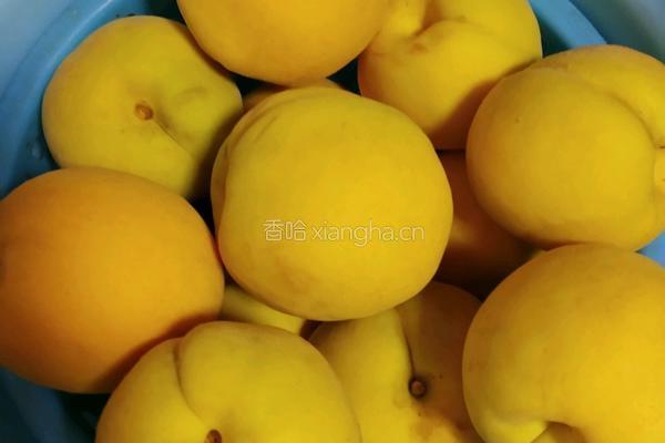黄桃罐头的做法图解1