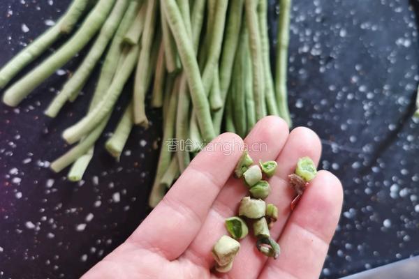 凉拌豇豆的做法图解2