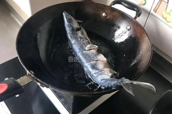 红烧鲅鱼的做法图解3