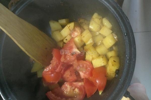 番茄炖土豆的做法图解6