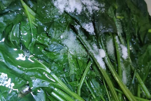韩式菠菜的做法图解5