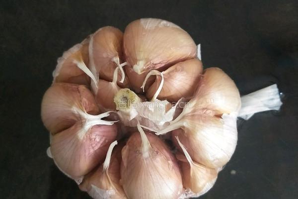 蒜蓉生蠔的做法图解2