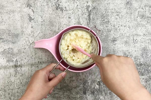 清凉夏日自制咸蛋黄脆皮冰淇淋的做法图解2