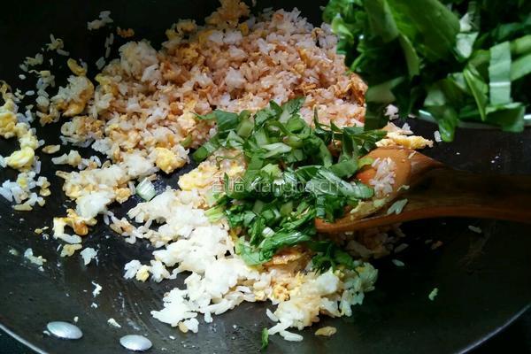 油菜蛋炒饭的做法图解7