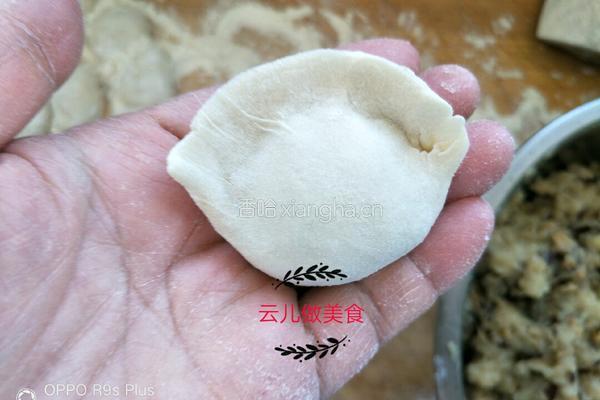 鲷鱼香菇饺子的做法图解11