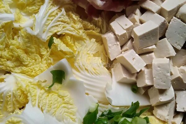 白菜五花肉炖豆腐粉条的做法图解2
