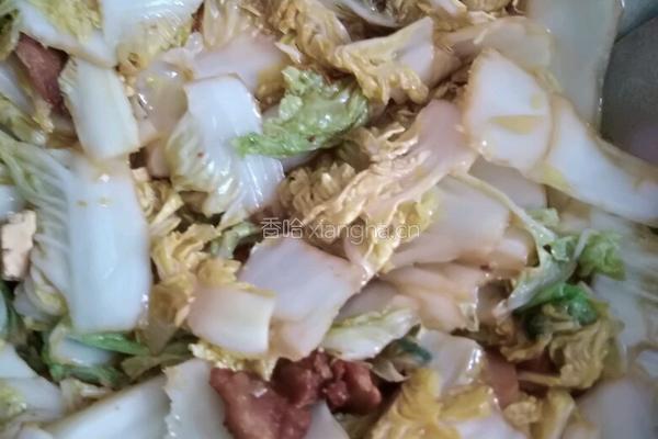 白菜五花肉炖豆腐粉条的做法图解4