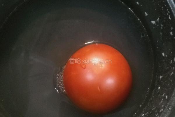 番茄炖茄子的做法图解1