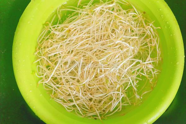 清炒豆芽的做法图解1