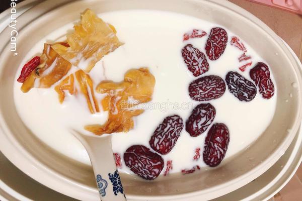 牛奶红枣炖鱼胶的做法图解6