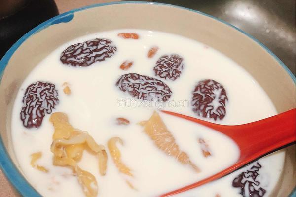 牛奶红枣炖鱼胶