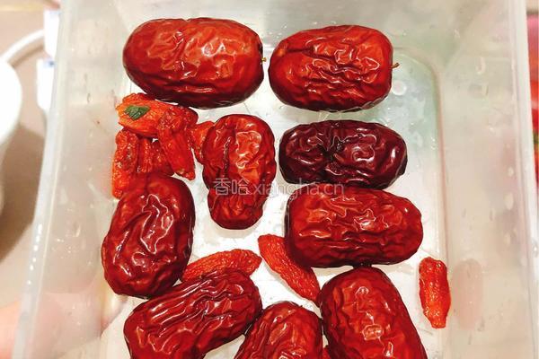牛奶红枣炖鱼胶的做法图解4