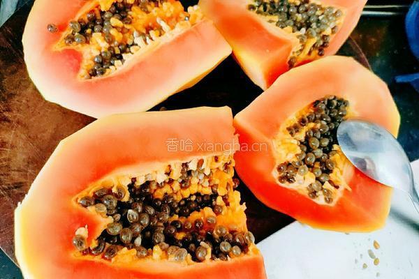 木瓜玉米肉圆汤的做法图解6