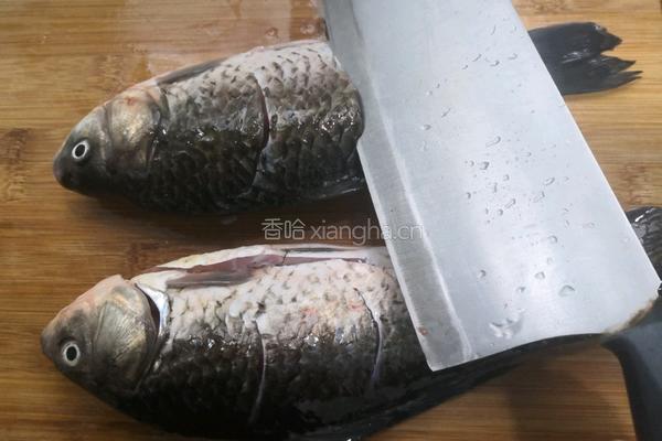 葱香鲫鱼的做法图解2