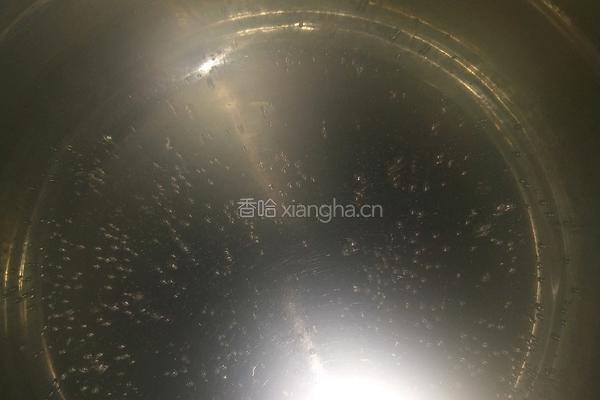 皮蛋瘦肉粥的做法图解1