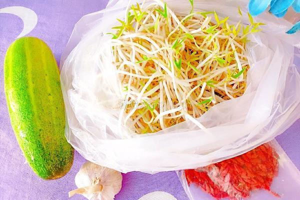 绿豆芽炒黄瓜的做法图解1