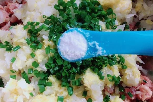 白菜肉蒸饺的做法图解4