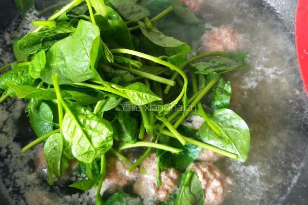 木耳菜肉丸汤的做法图解15