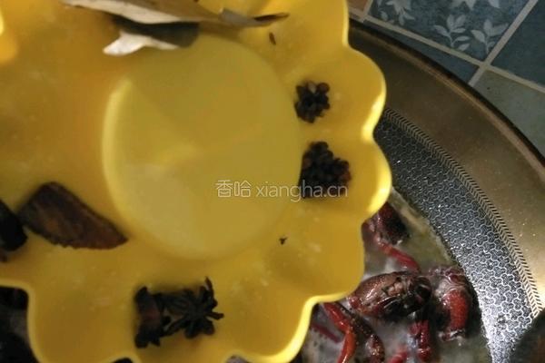 麻辣小龙虾的做法图解7