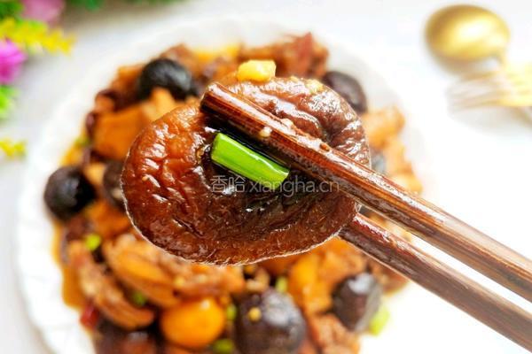 红烧香菇鸡块的做法图解20