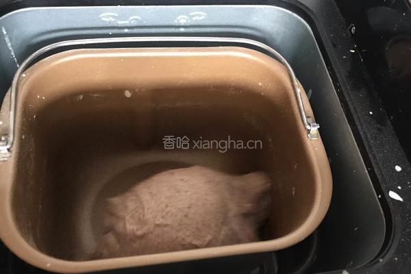 葡萄干黑麦面包的做法图解1