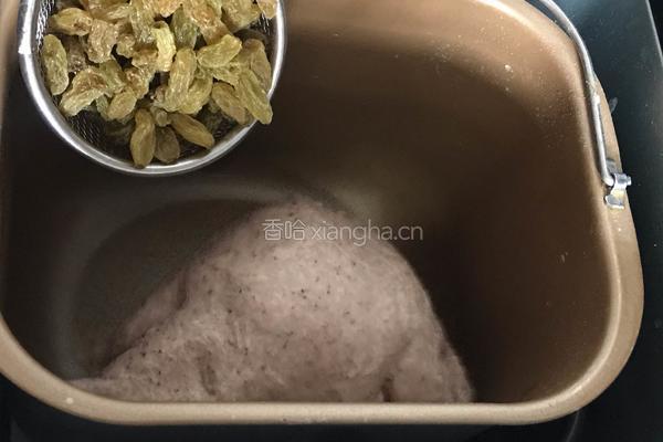 葡萄干黑麦面包的做法图解4