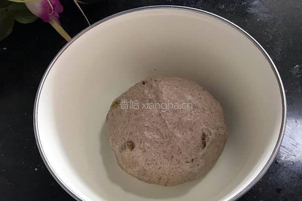 葡萄干黑麦面包的做法图解6