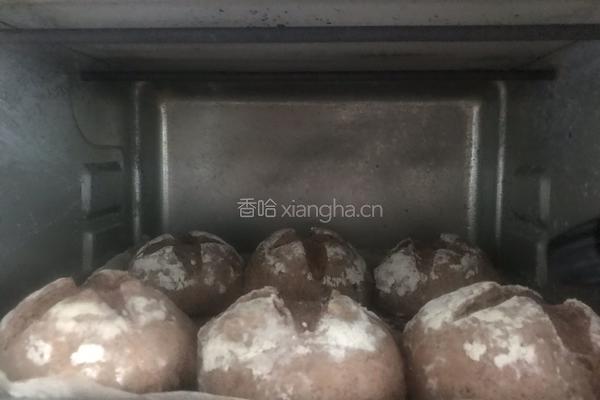 葡萄干黑麦面包的做法图解12