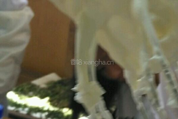手指饼干的做法图解2