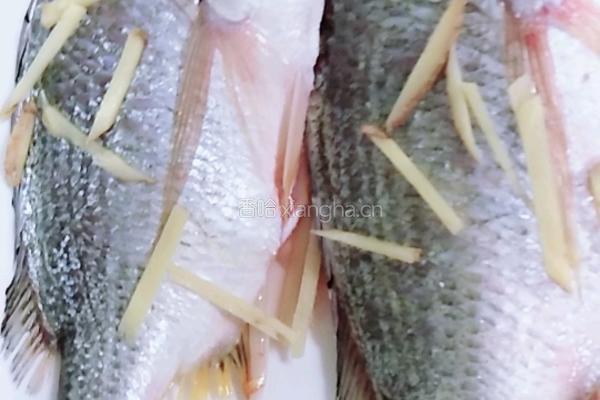 清蒸海鲫鱼的做法图解1