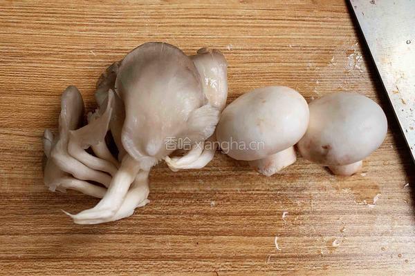 家常番茄炖牛肉的做法图解9
