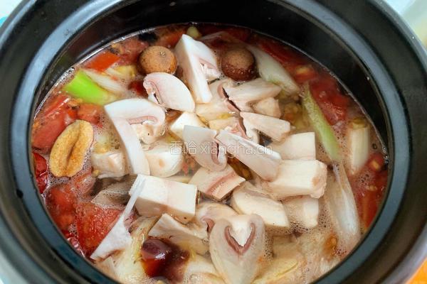 家常番茄炖牛肉的做法图解10