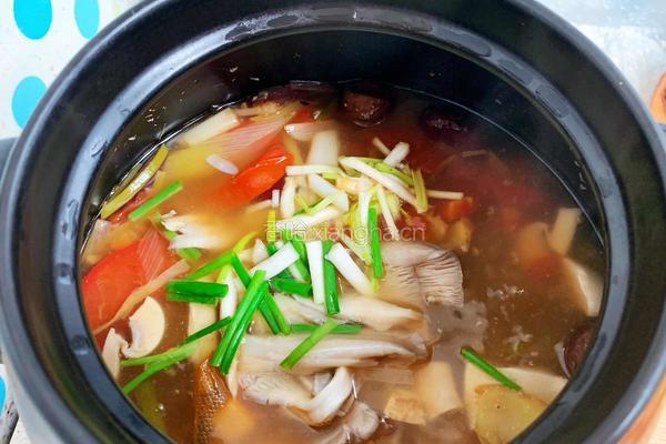 家常番茄炖牛肉的做法图解15