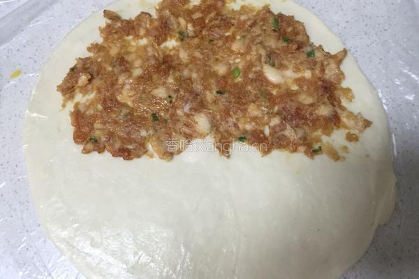 香酥肉饼的做法图解4
