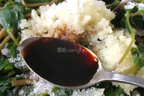 凉拌马齿苋的做法图解7