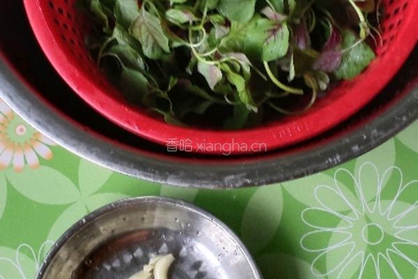 清炒红苋菜的做法图解2