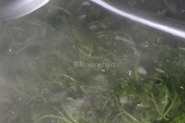 清炒红苋菜的做法图解6