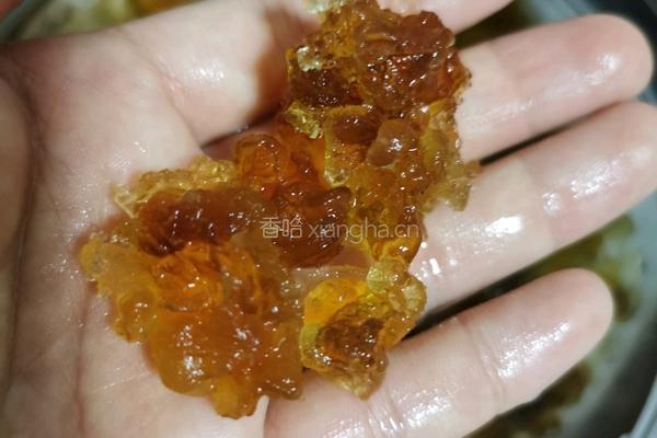 桃胶养颜汤的做法图解3