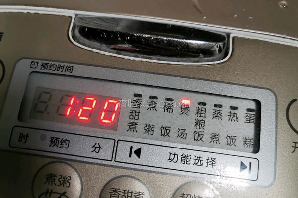桃胶养颜汤的做法图解6