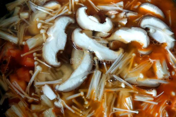 茄汁虾仁菌菇汤的做法图解13