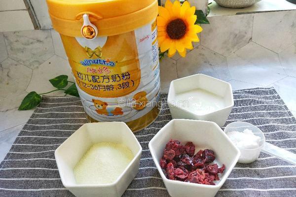 最健康的小零食酸奶牛乳糖的做法图解1