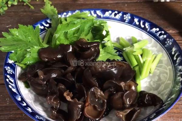 木耳芹菜烧豆腐的做法图解2