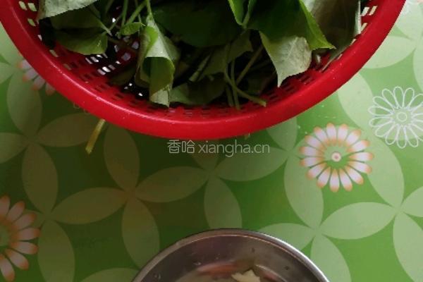 炒番薯叶的做法图解2