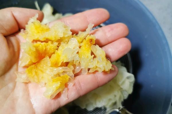 银耳桃胶滋补养颜汤的做法图解6