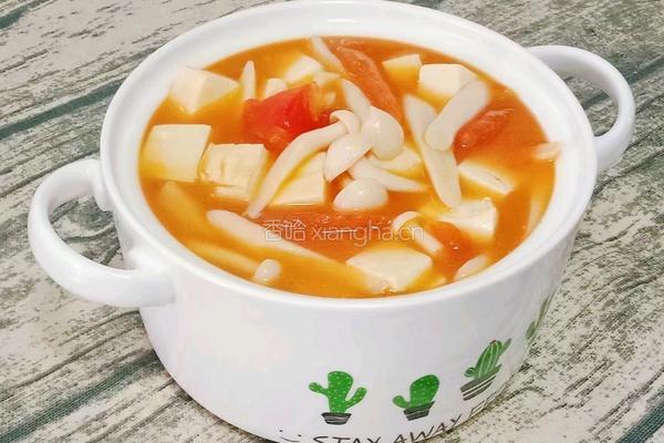 番茄白玉菇炖豆腐的做法图解13